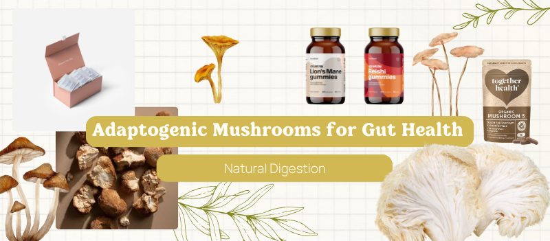 Natural Digestion With Adaptogenic Mushrooms for Gut Health
