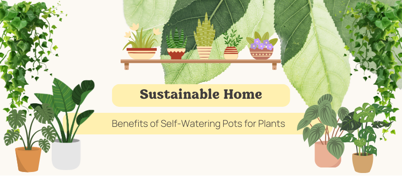 Practical Benefits of Self-Watering Pots for Plants