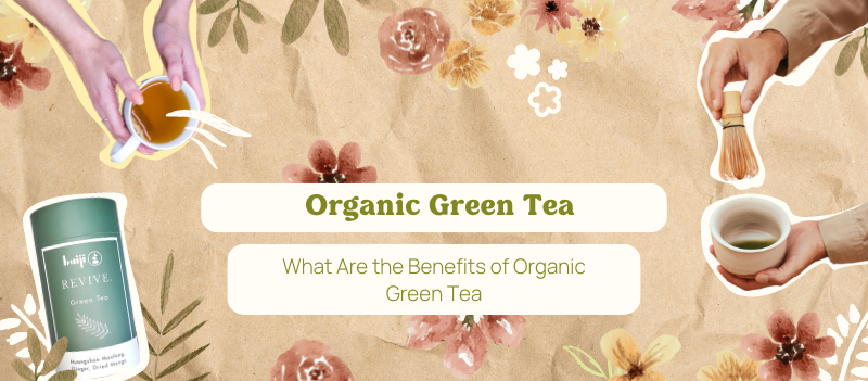 What Are the Benefits of Organic Green Tea