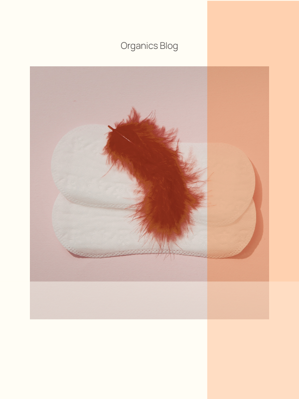 Period Self-Care Routine That Supports Every Cycle Phase