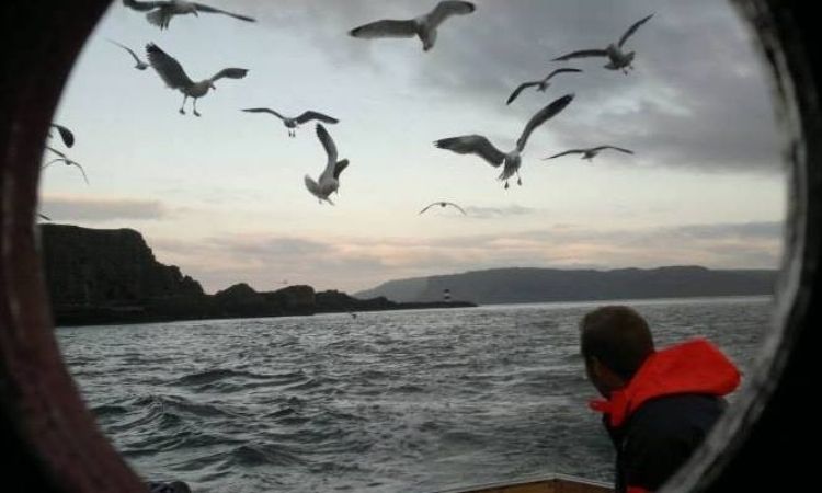 Rathlin's Island's natural seaweed superfood