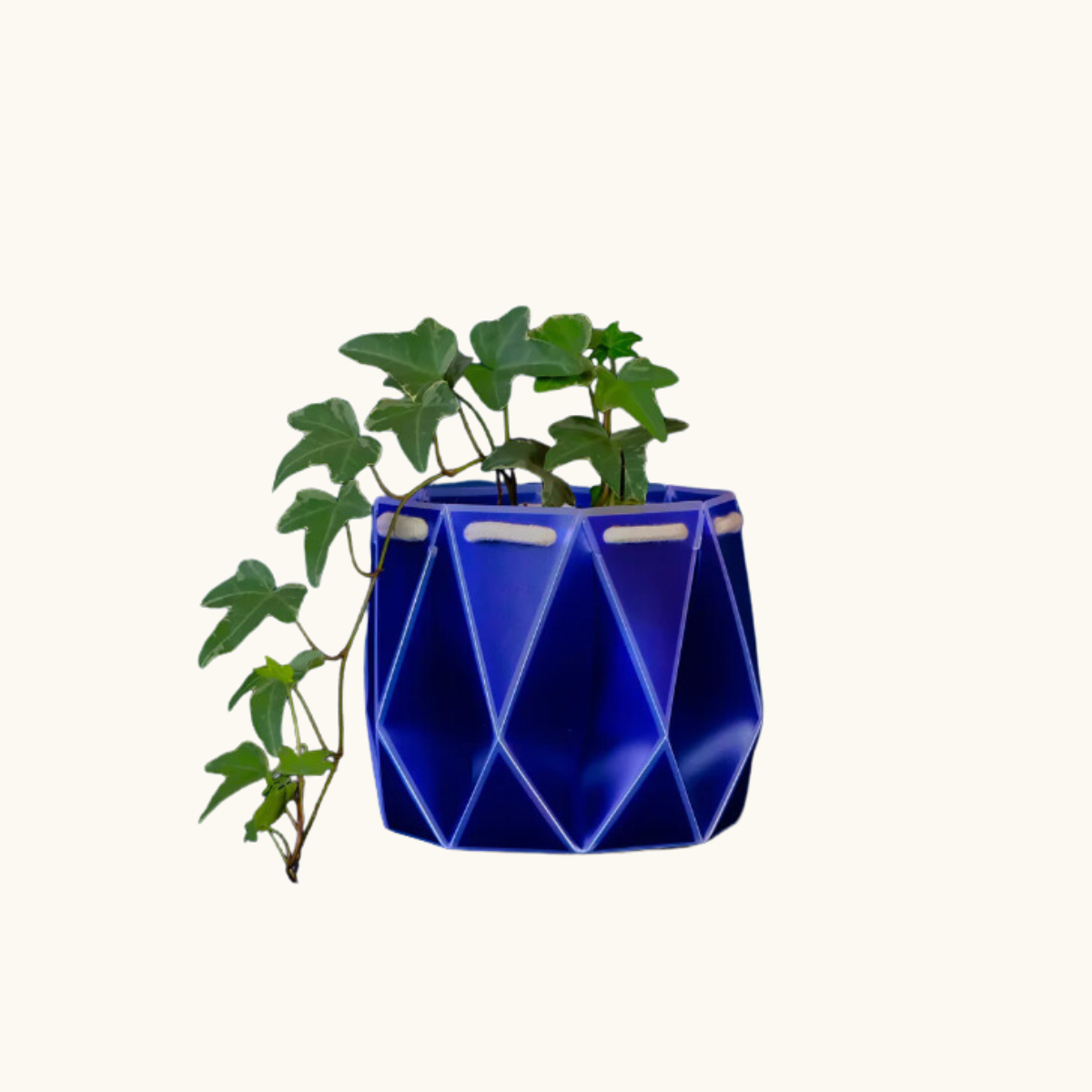 Self-watering POTR Plant Pot ~ Eco Plant Pot | Organics.com
