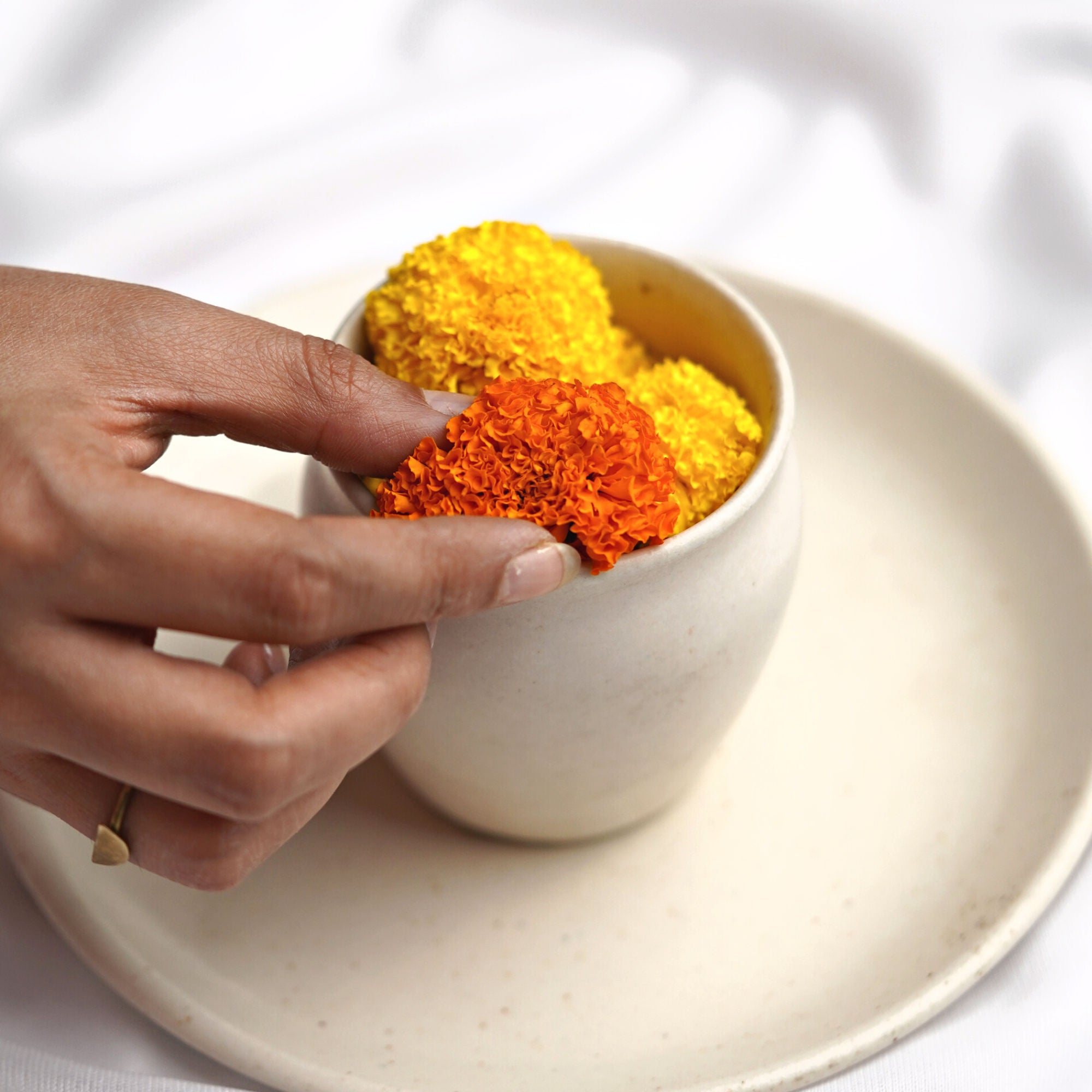 Digestive Healer - Cumin, Marigold & Fennel