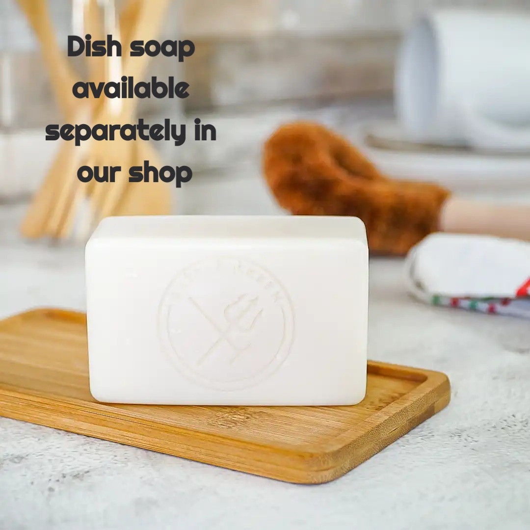 Beech Wood Long Handled Dish Brush