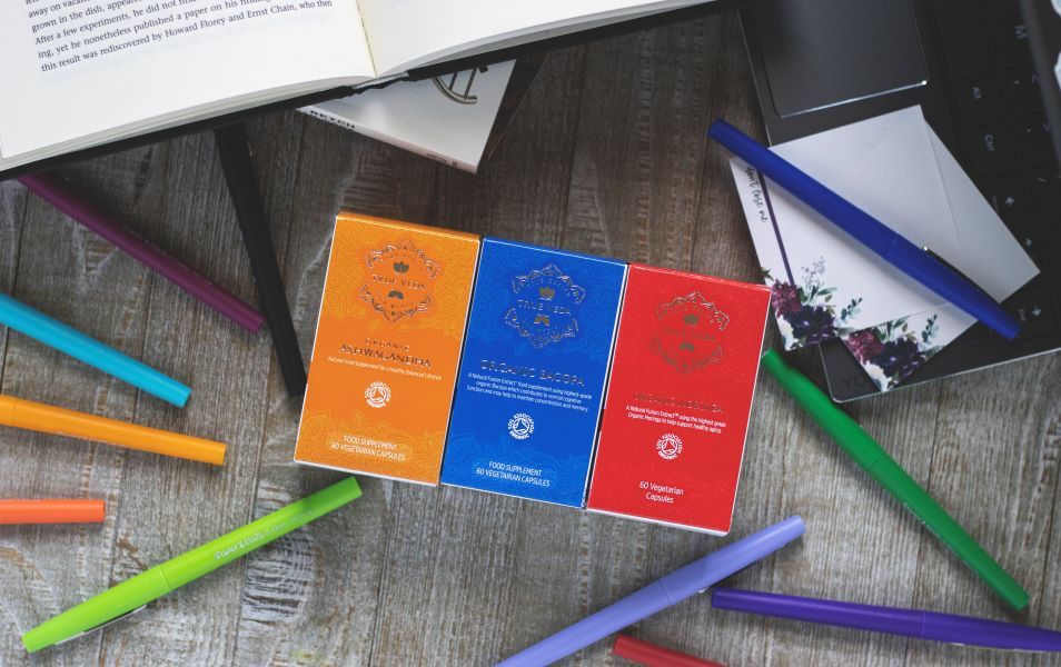 True Veda Brain Boost & Focus Bundle (Organic Ashwagandha, Bacopa and Moringa)