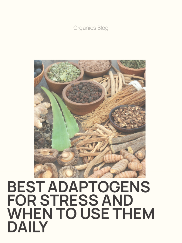 Best Adaptogens for Stress and When to Use Them Daily
