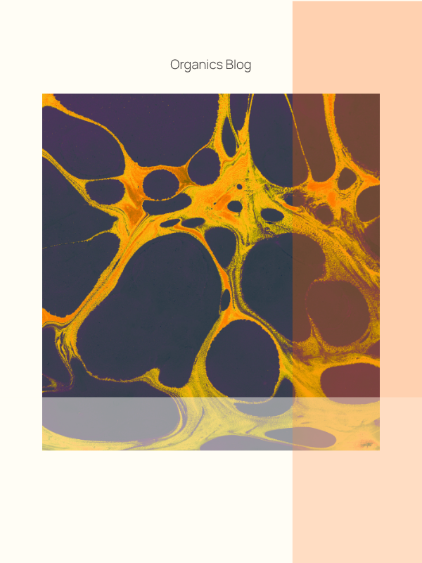 Breakouts in my 30s and what your skin is telling you