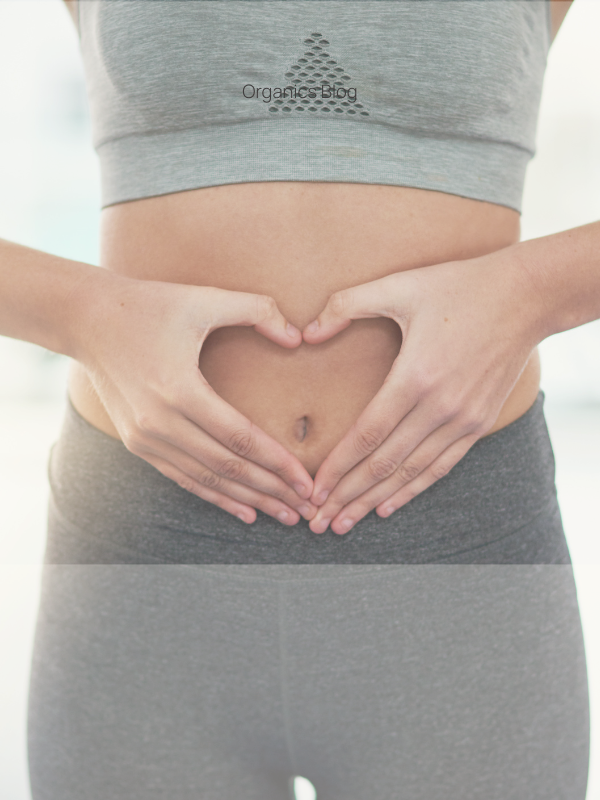 Gut Health Reset for 2026: Nutritionist-Approved Tips to Get Ahead by Molly Love