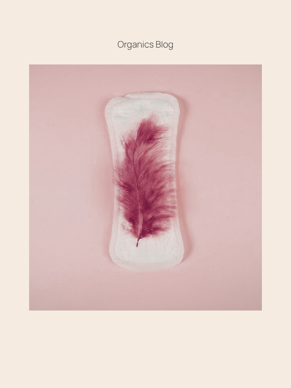 Period Self-Care Routine That Supports Every Cycle Phase