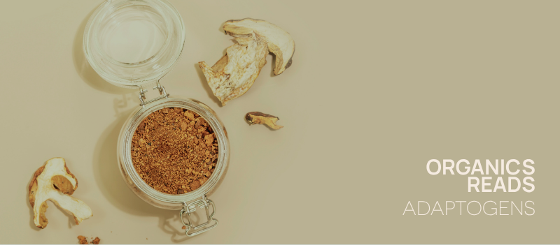 Best Adaptogens for Stress and When to Use Them Daily