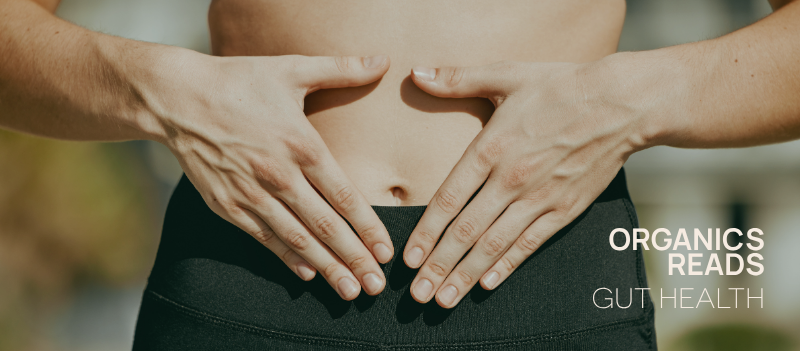 Gut Health Reset for 2026: Nutritionist-Approved Tips to Get Ahead by Molly Love