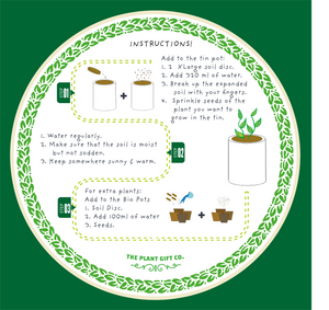 Seeds of Love - Grow Your Own Romantic Flowers