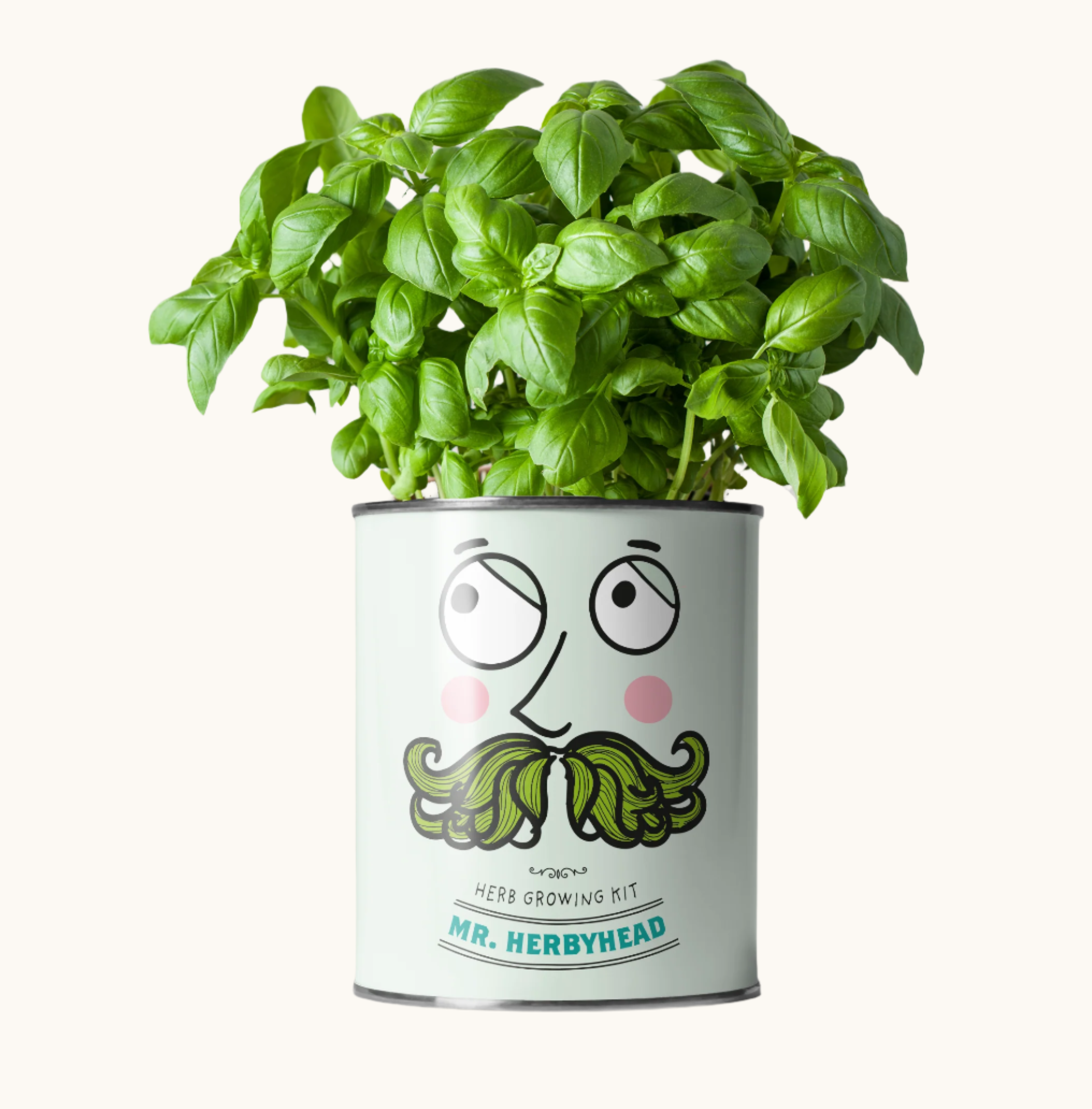 Mr. Herbyhead ~ Eco Grow Your Own Plant Kit, Gardening Gift.