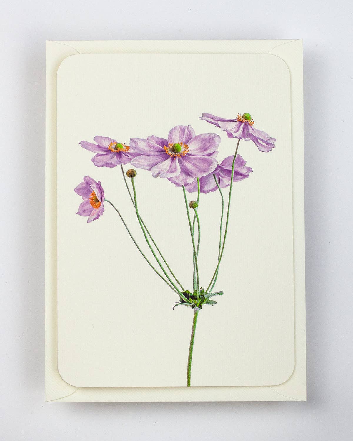 Anemone Greeting Card ~ Blank