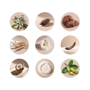 MoonBrew™ Adaptogenic Sleep Cacao | Reishi & Ashwagandha