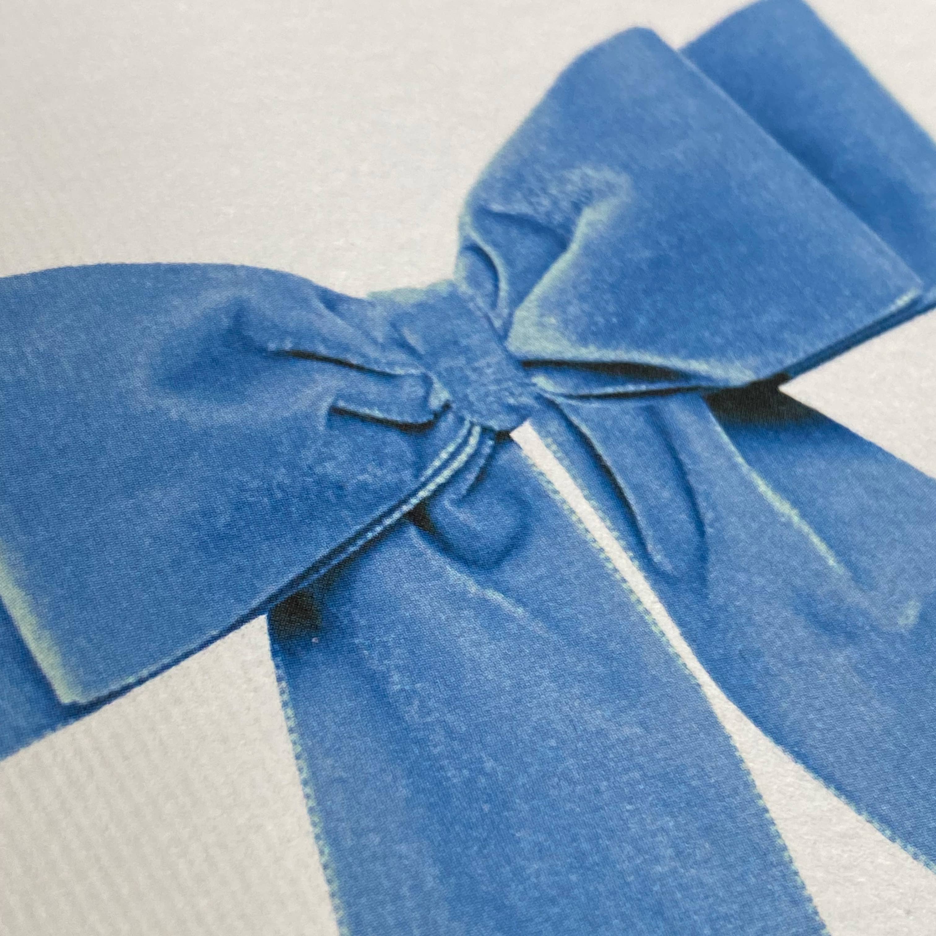 Blue Velvet Bow - Greeting Card - Blank