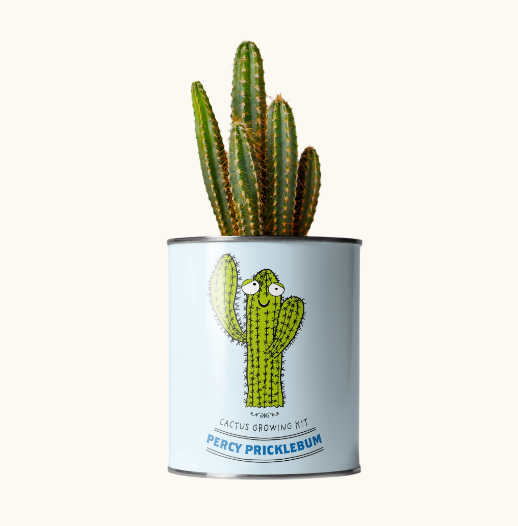 Percy Pricklebum ~ Grow Your Own Cacti Kit, Gardening Gift