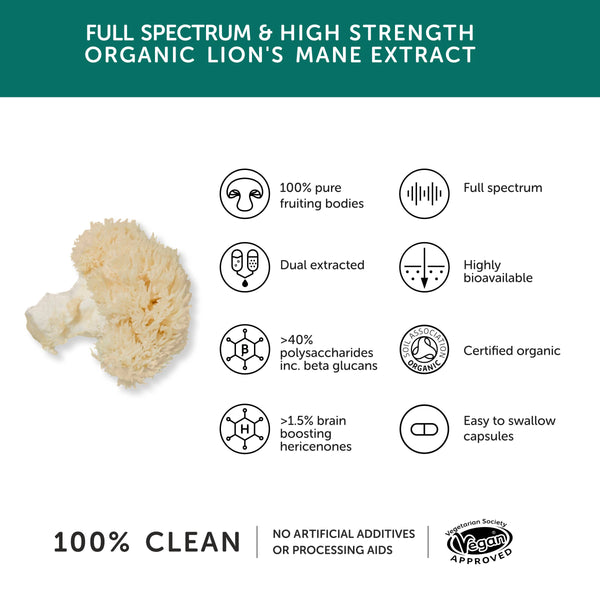 Lion's mane mushroom extract with certification logos and product features on a white background.