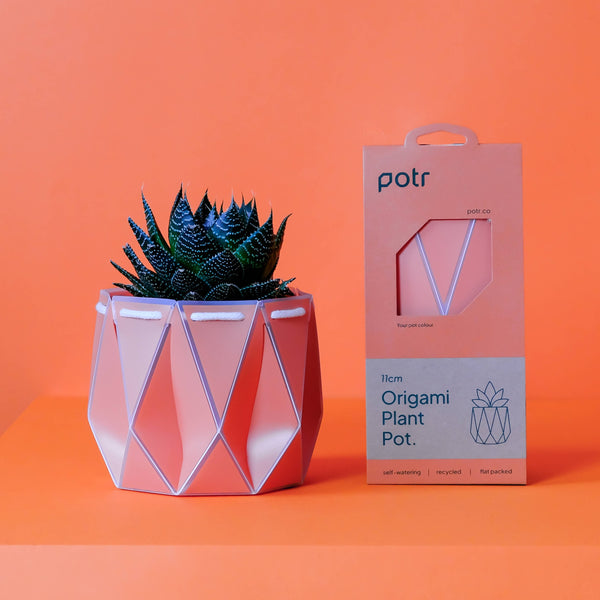 Self-watering Plant Pot ~ 11cm Coral Orange