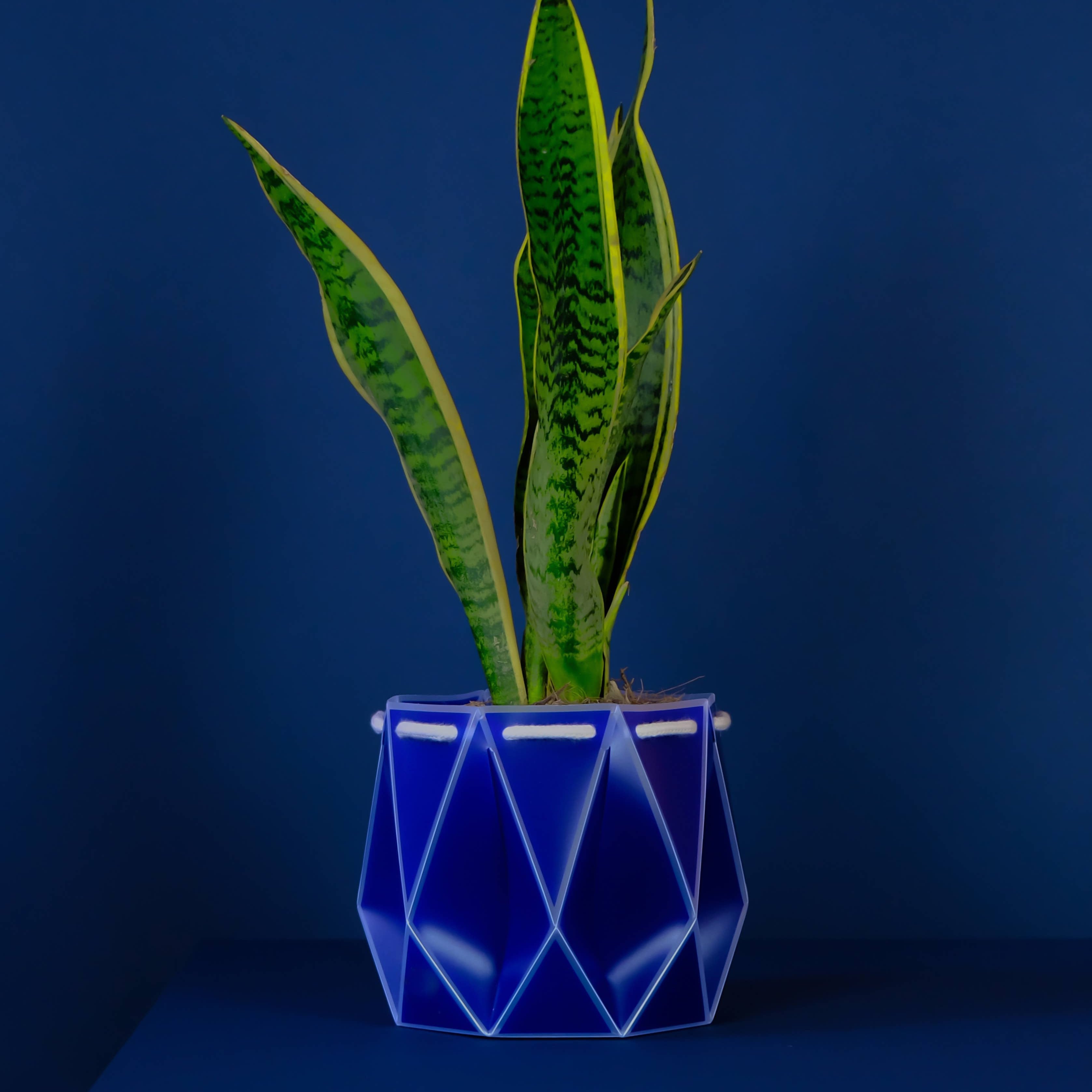 Self-watering Plant Pot ~ 18cm Navy Blue