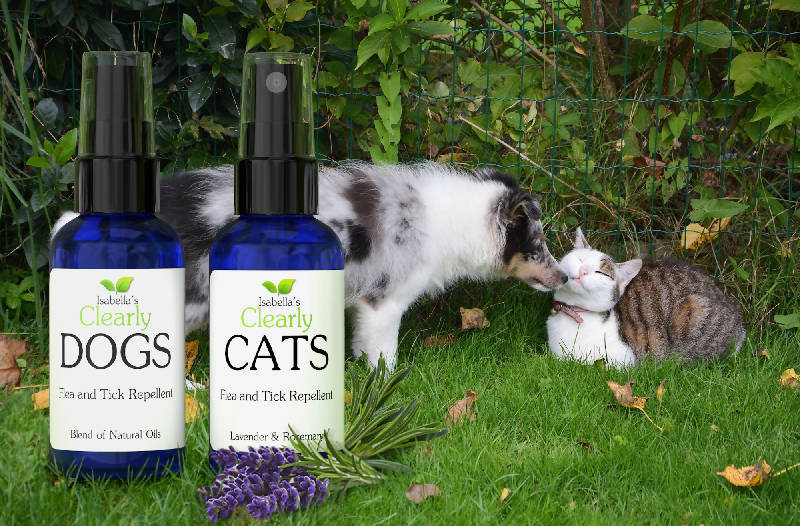 Clearly CATS, Natural Flea and Tick Repellent for Cats with Lavender and Rosemary