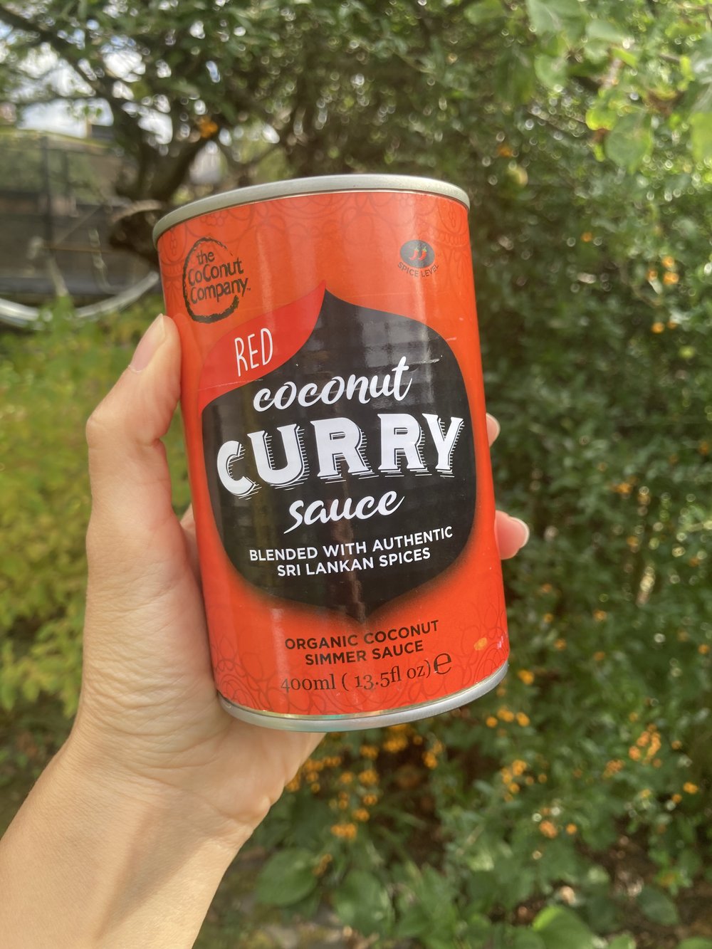 OrganicRedCoconutCurrySauce-WithBackground1