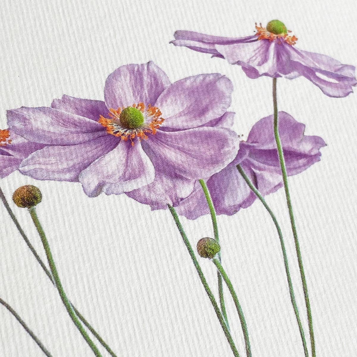 Anemone Greeting Card Up close image