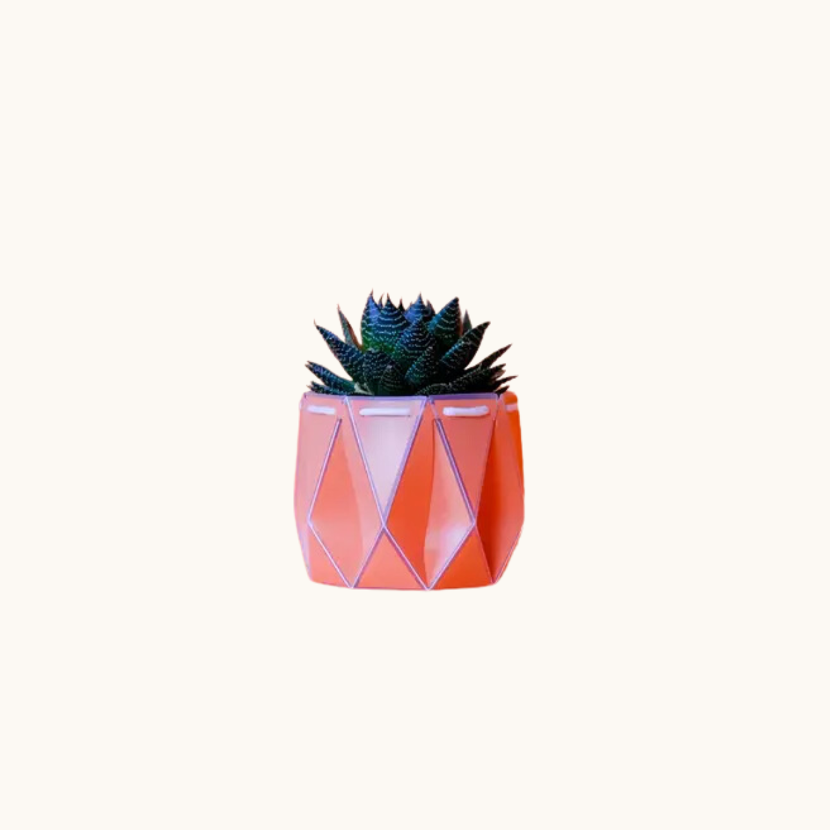 Self-watering Plant Pot ~ 11cm Coral Orange