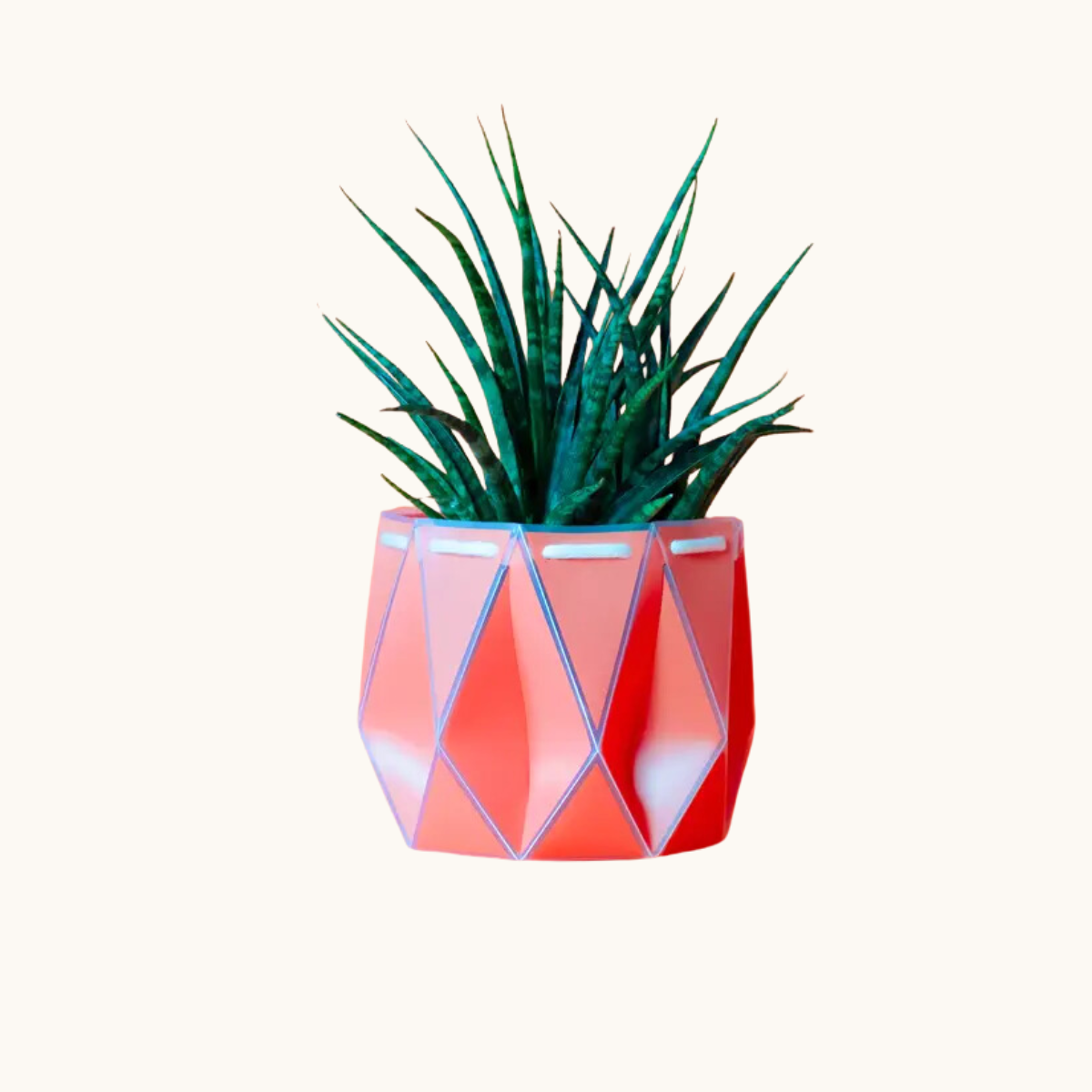 Self-watering Plant Pot ~ 18cm Coral Orange