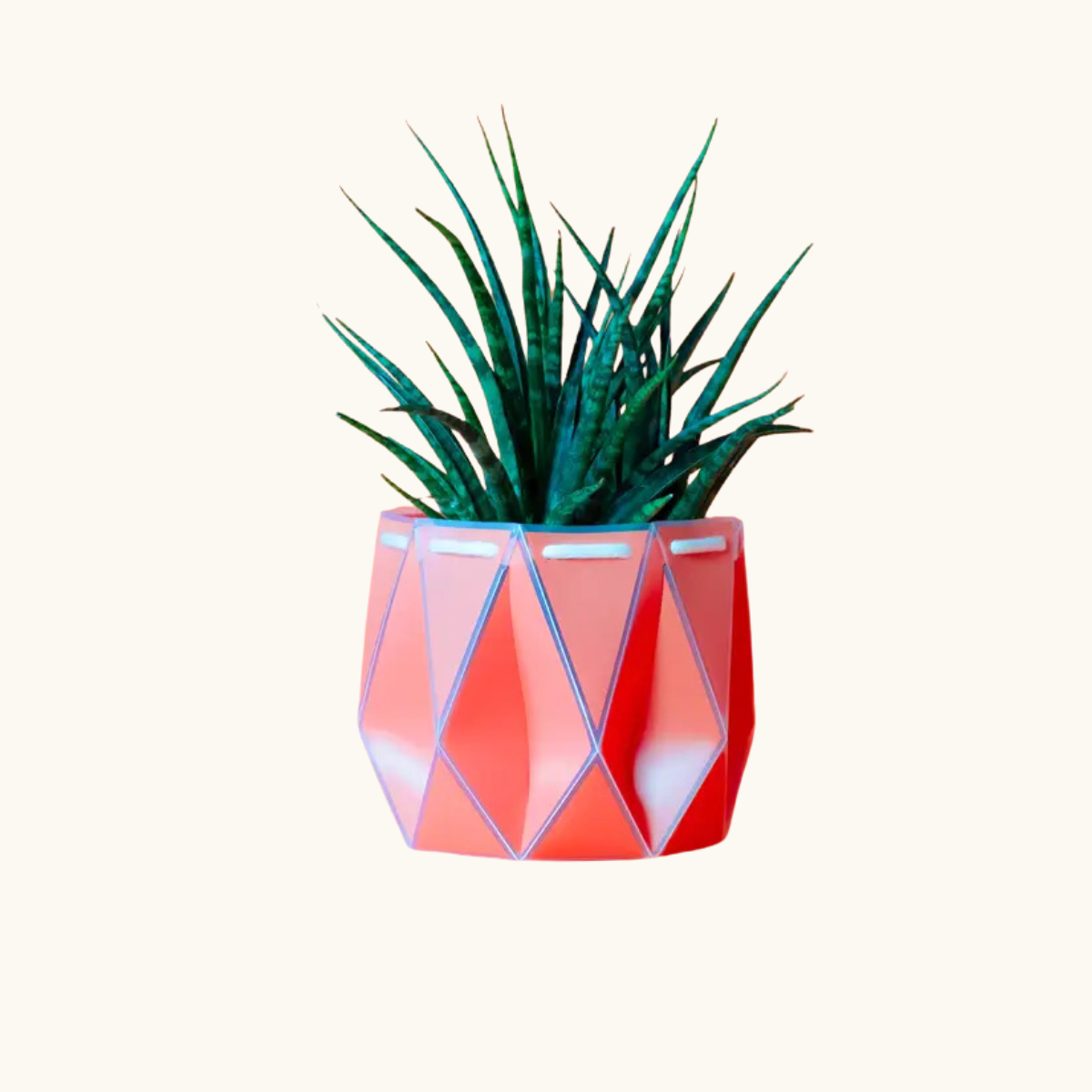 18 cm plant pot POTR Pots Self-watering Planters ~ Eco Plant Pot