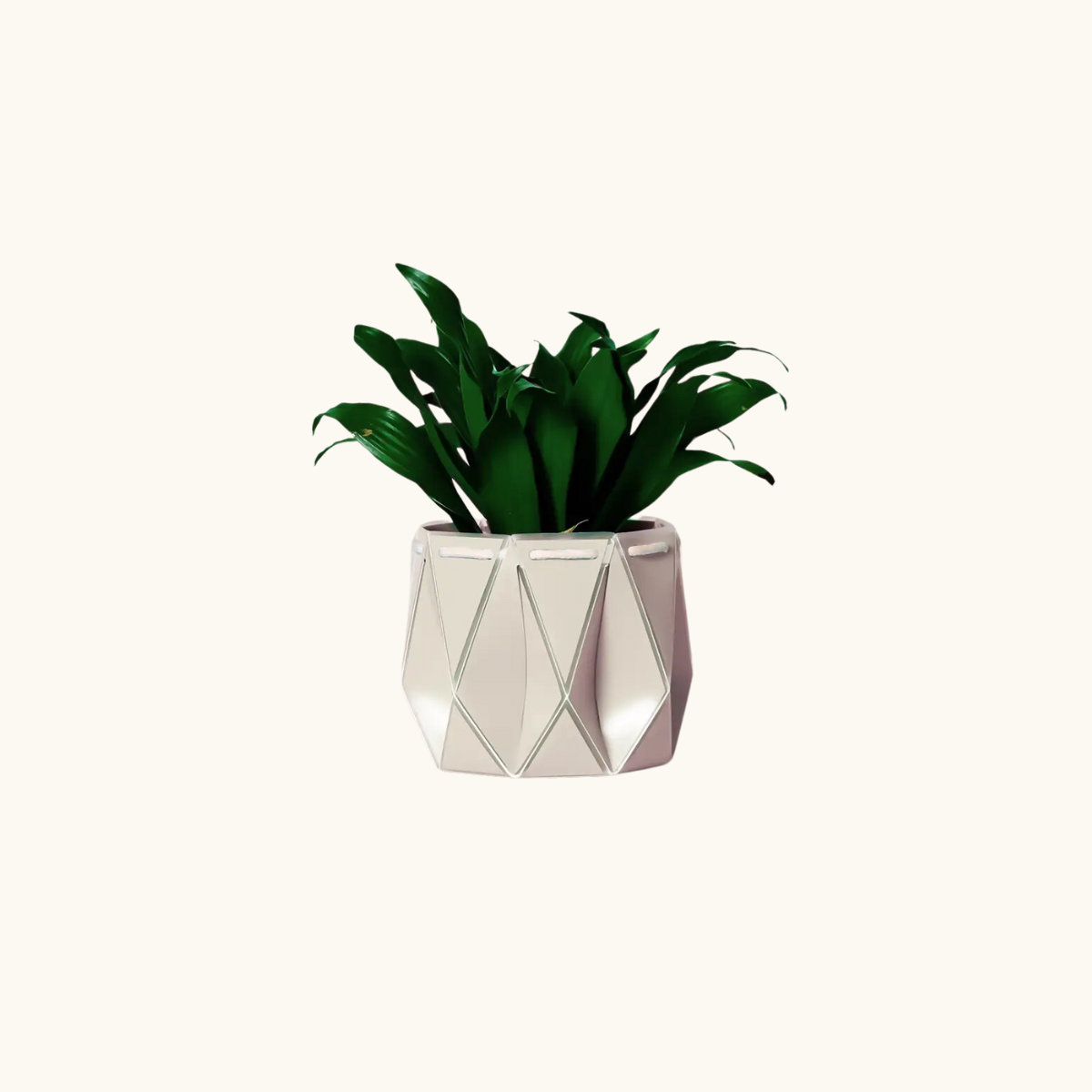 Self-watering Plant Pot ~ 11cm Ivory White