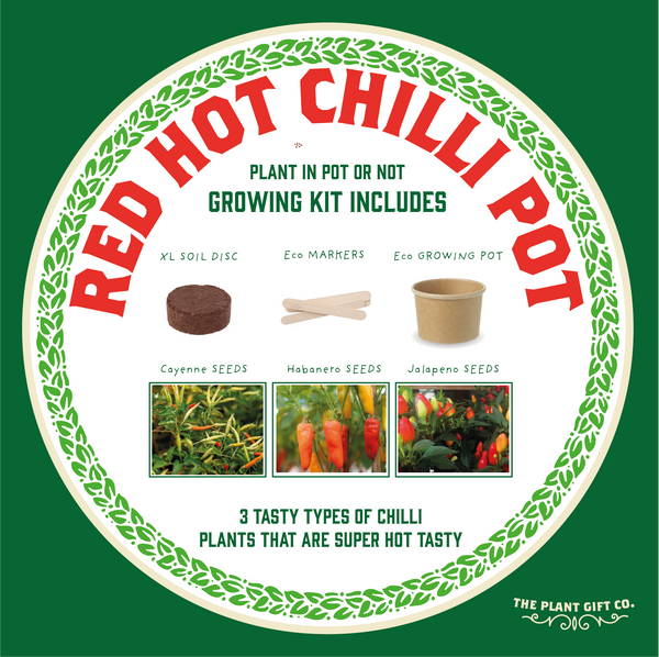 Red Hot Chilli Pot ~ Grow Your Own Plant Kit, Gardening Gift