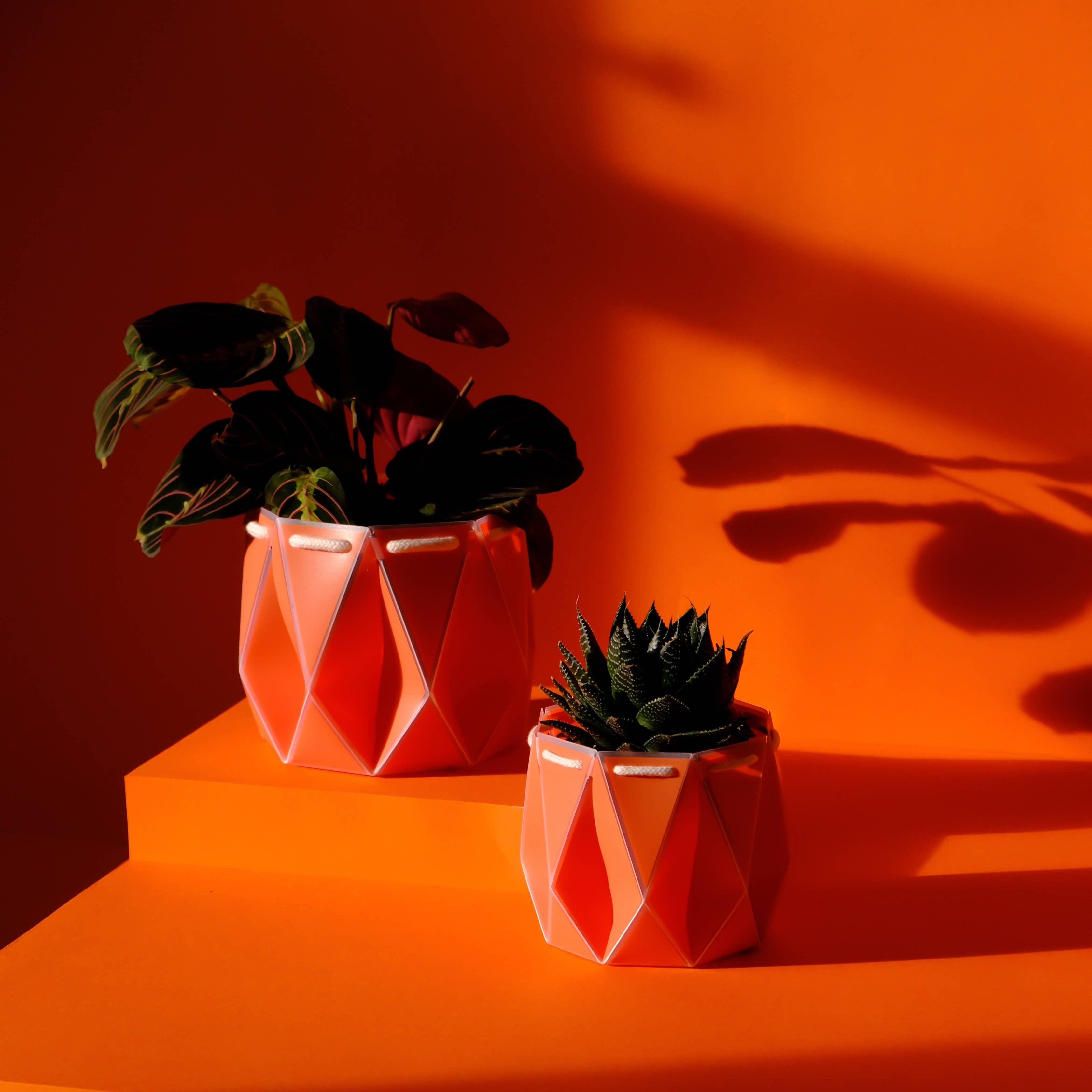 Self-watering Plant Pot ~ 11cm Coral Orange