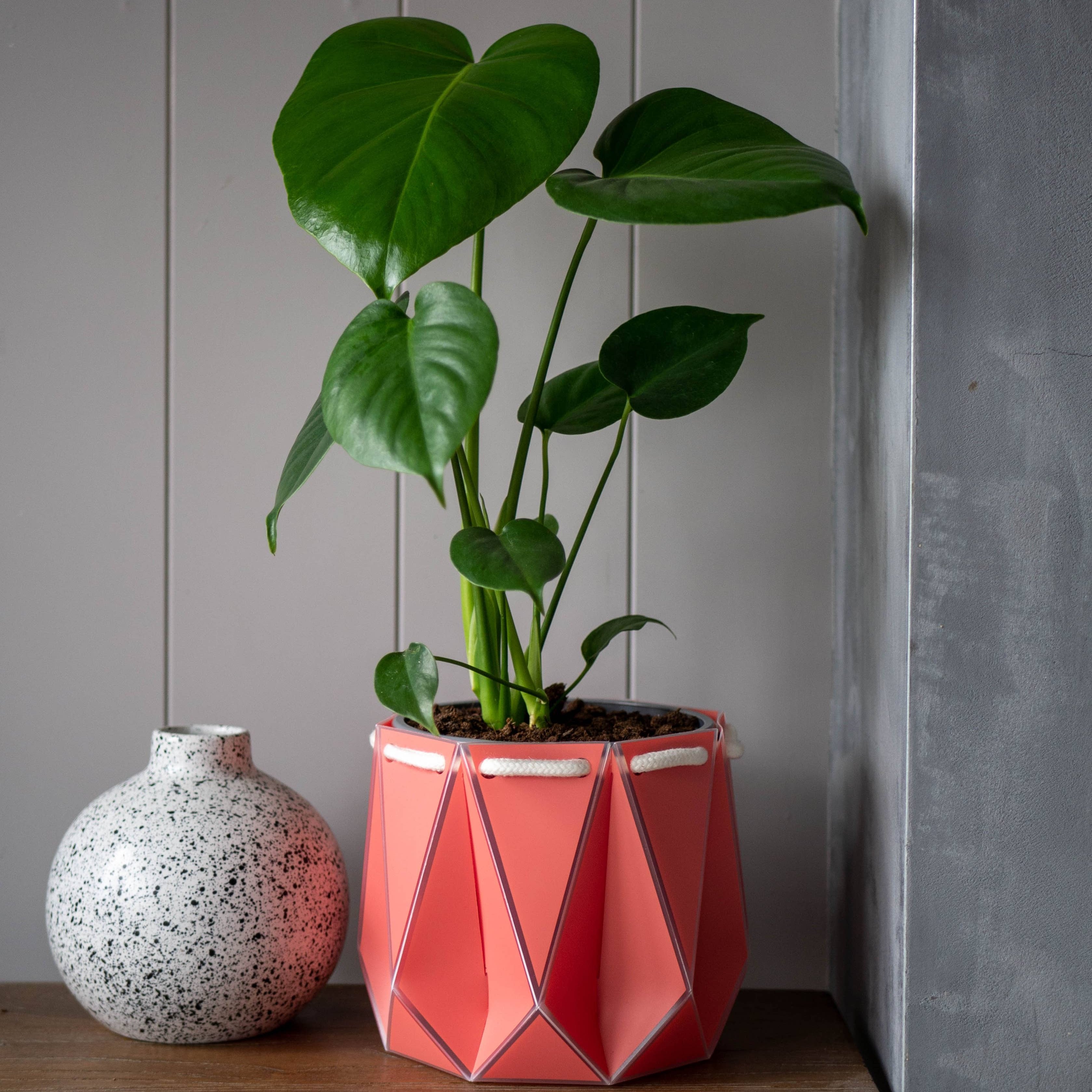 Self-watering Plant Pot ~ 18cm Coral Orange