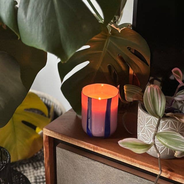 Candle in a decorative holder on a wooden surface with plants in the background