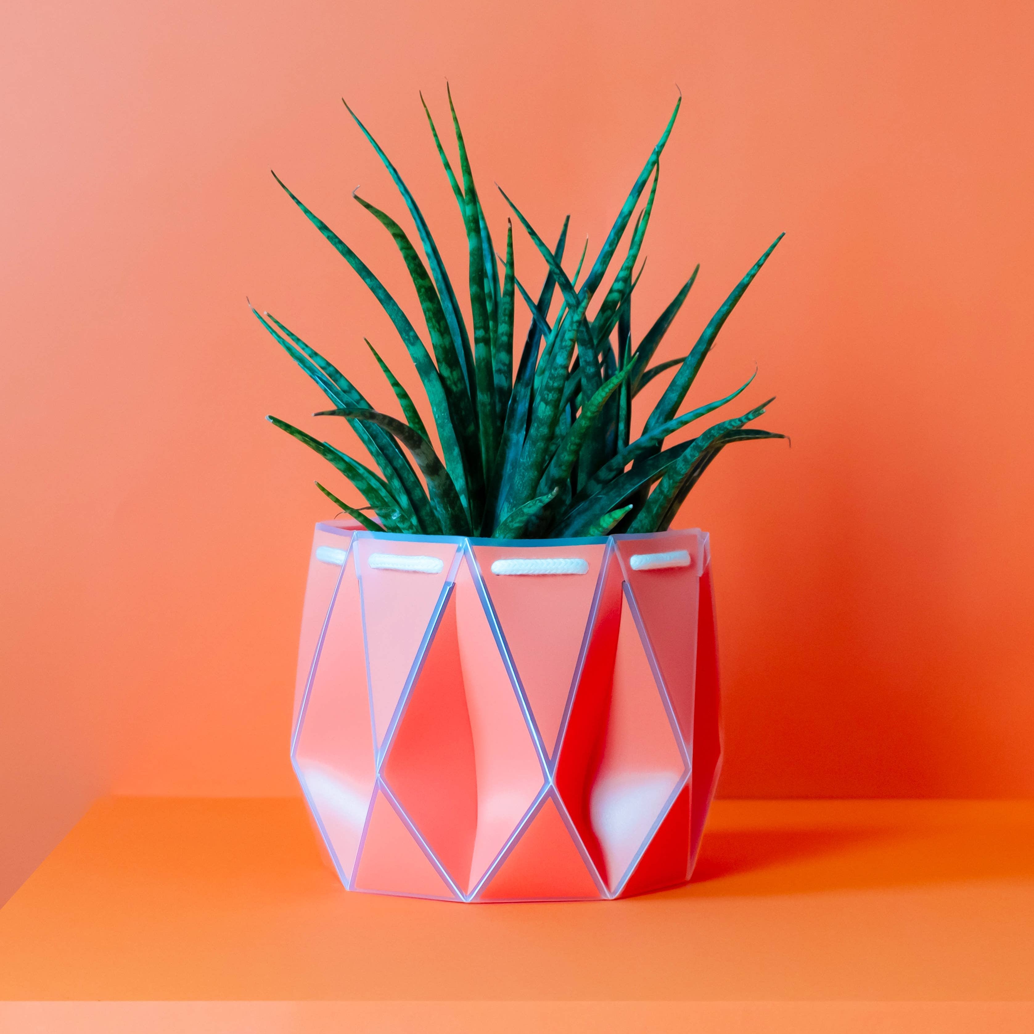 Self-watering Plant Pot ~ 18cm Coral Orange