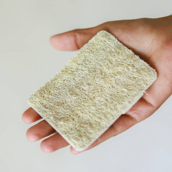 Organic Lifestyle Canvas Rectangle Scrubber With Handle