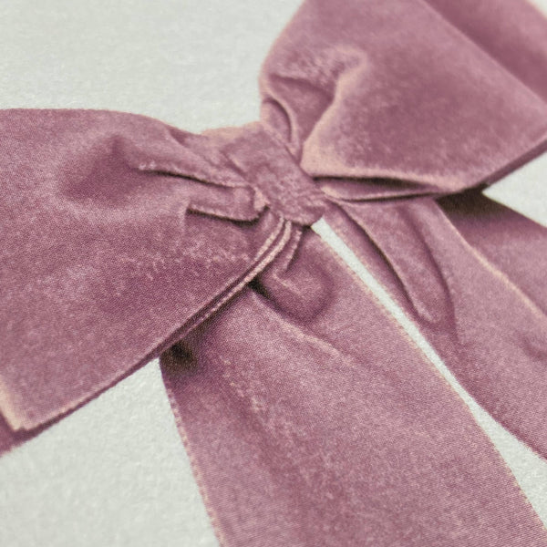 Baby Pink Velvet Bow Greeting Card ~ Blank