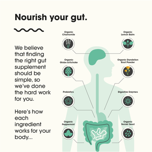 Feel Complete - Gut 3-in-1 (premium digestive supplement)