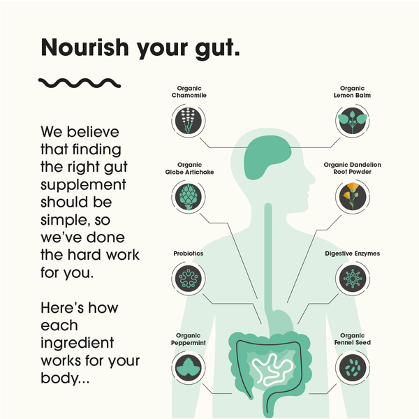 Feel Complete - Gut 3-in-1 (premium digestive supplement)