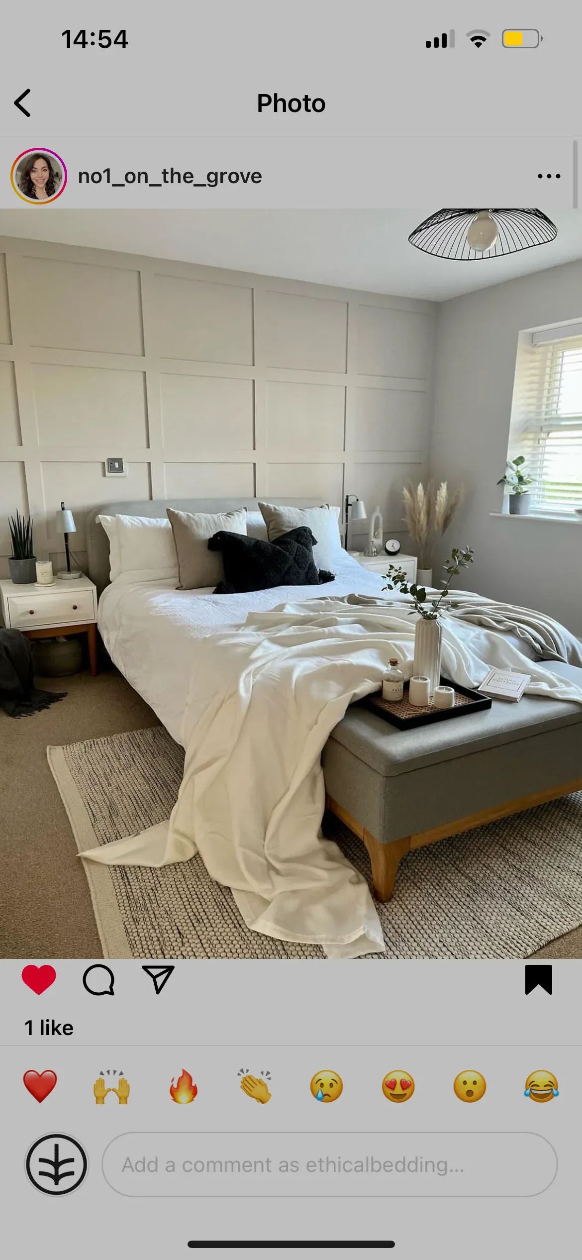 Eucalyptus Softy Blanket