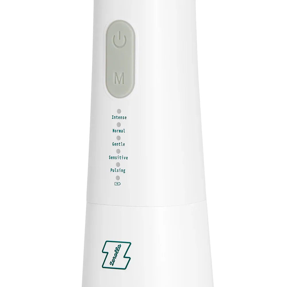 Eco Electric Water Flosser