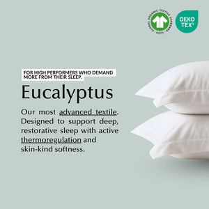 Cool & Comfy Silk Pillowcase Pair (Eucalyptus)