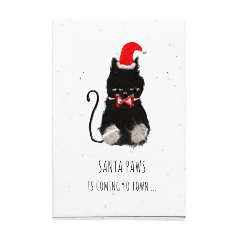 Christmas Cat - Plantable Card
