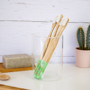 Bamboo Toothbrush (Plant-Based Bristles)