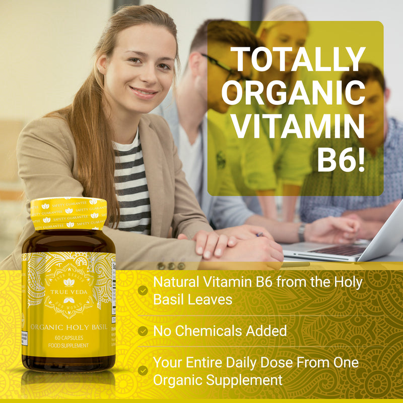 True Veda Organic Holy Basil Vitamin B6 180 Capsules (3 Bottles)
