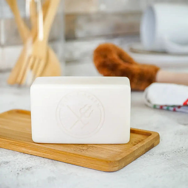 Plastic Free Dish Soap & Wooden Brush Washing Up Set