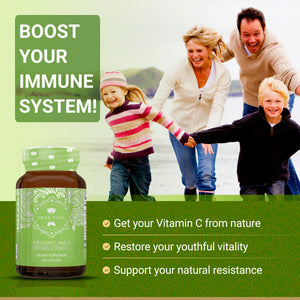 True Veda Organic Amla 360 Capsules (6 Bottles)