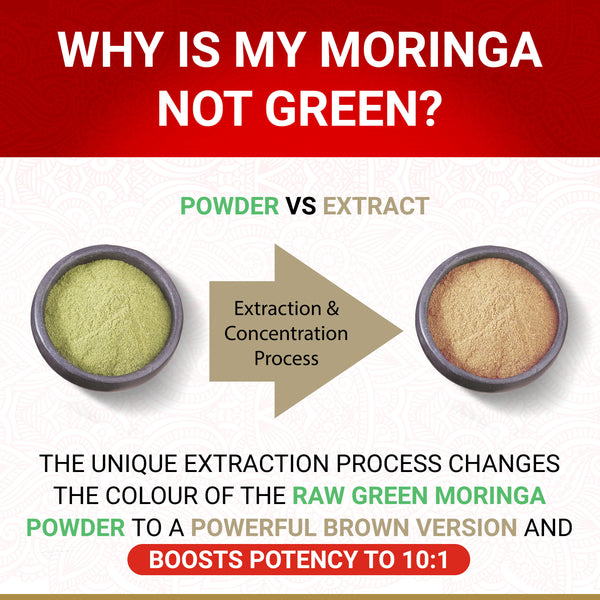 True Veda Organic Moringa 360 Capsules (6 Bottles)