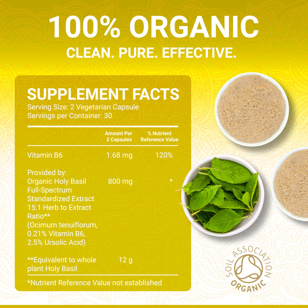 True Veda Everyday Essentials Bundle (Organic Ashwagandha,Holy Basil, Amla and Moringa)
